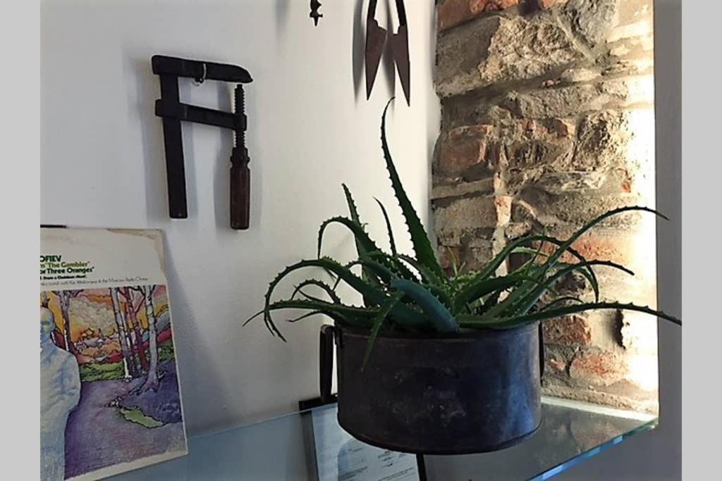 马纳罗拉Casa Oliva Cinque Terre公寓 外观 照片
